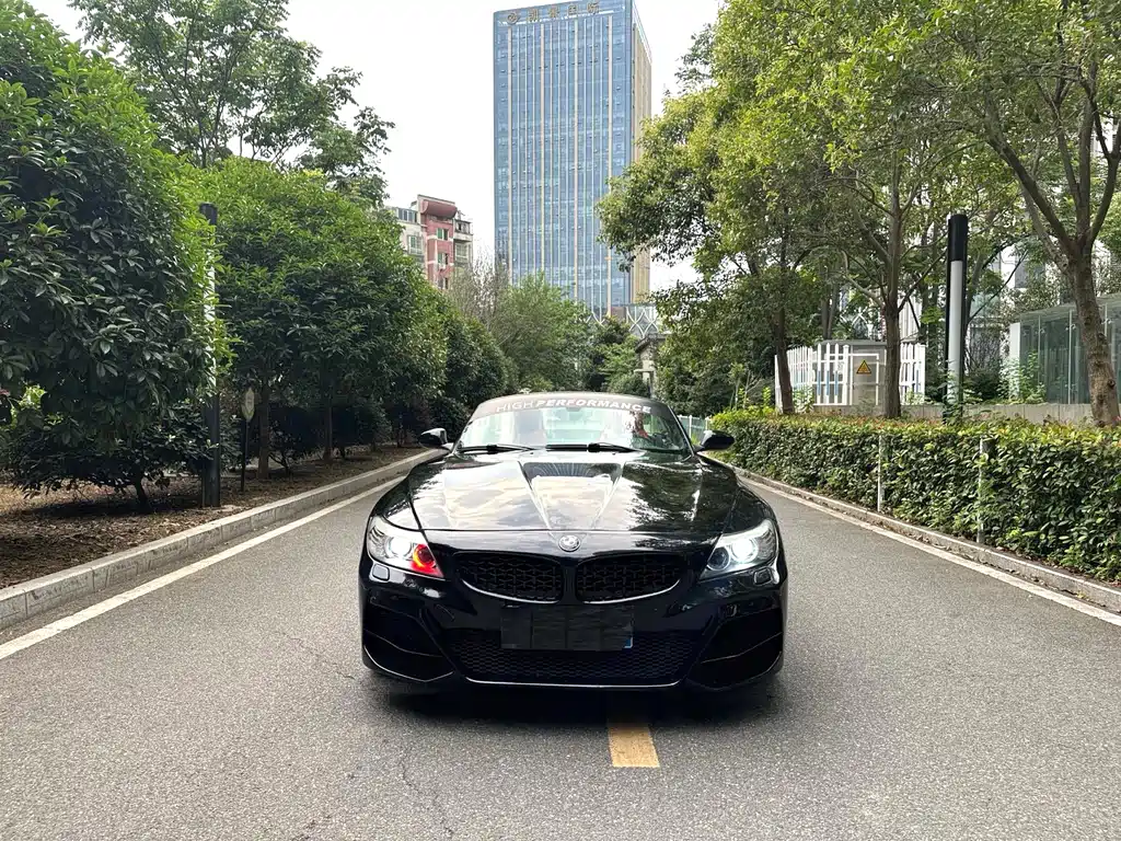 BMW Z4 2009 sDrive23i Lead