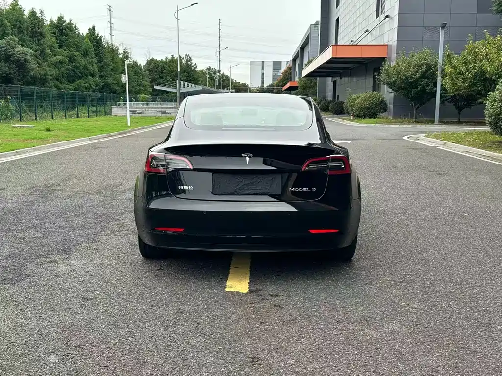 Tesla Model 3 — миниатюра 18