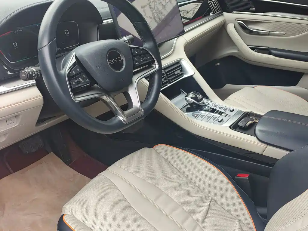 BYD PLUS New Energy — миниатюра 4