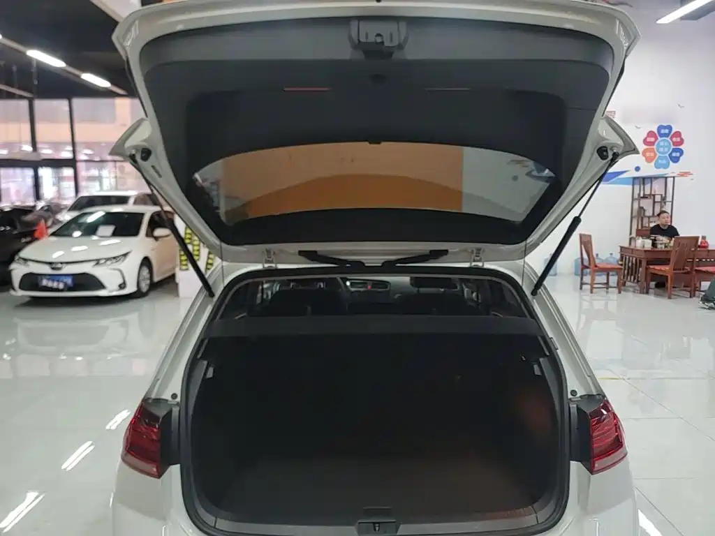 Volkswagen Golf — миниатюра 19