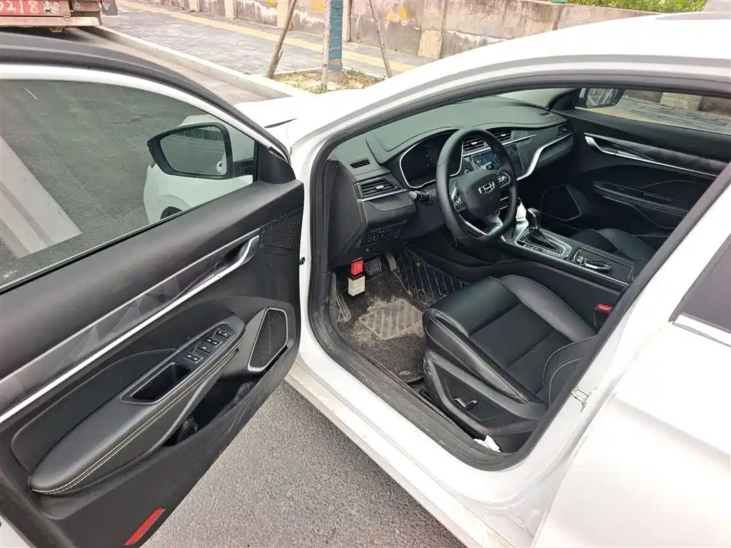 Geely Binrui - фото 16
