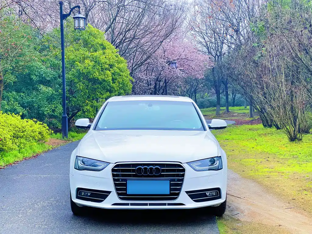 Audi A4L 2016 35 TFSI AT