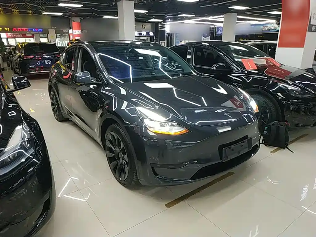 Tesla Model Y — миниатюра 4