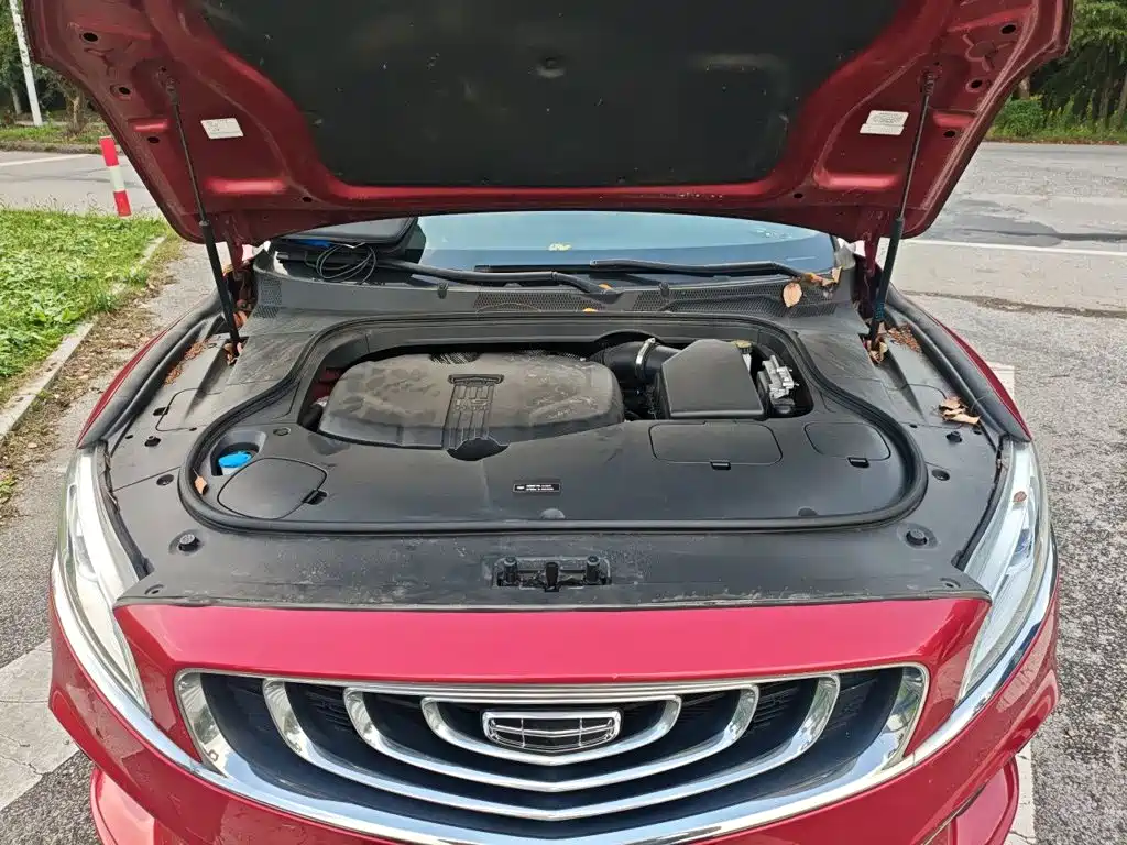 Geely Borui — миниатюра 11