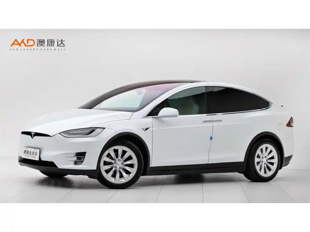 Tesla Model X 2019