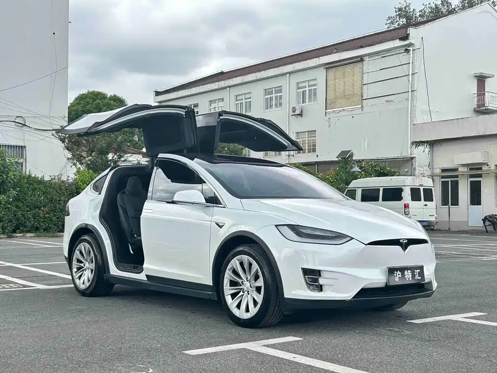Tesla Model X — миниатюра 3