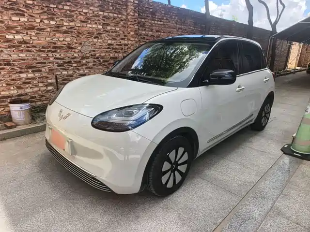 2023 Wuling Motors Binguo