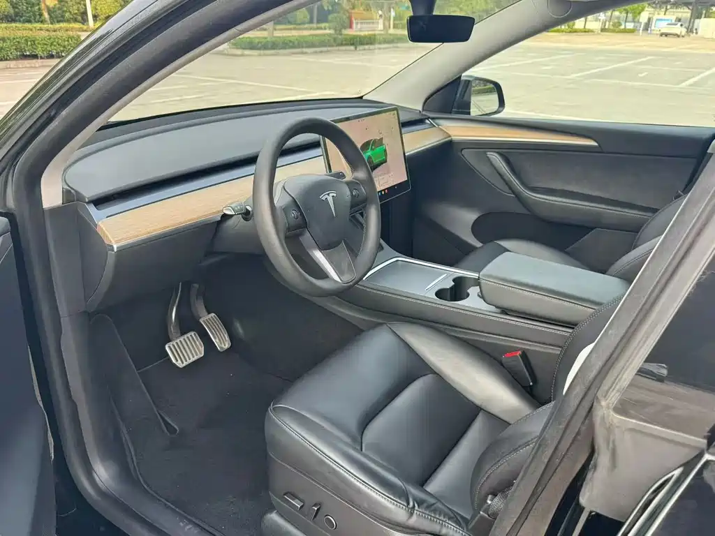 Tesla Model Y — миниатюра 6