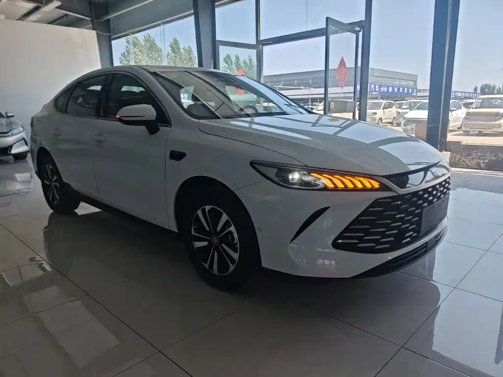 BYD Qin Plus PLUS 2025 DM-i Smart Drive 120KM