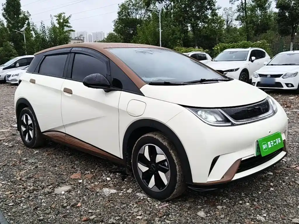 BYD Dolphin — миниатюра 4