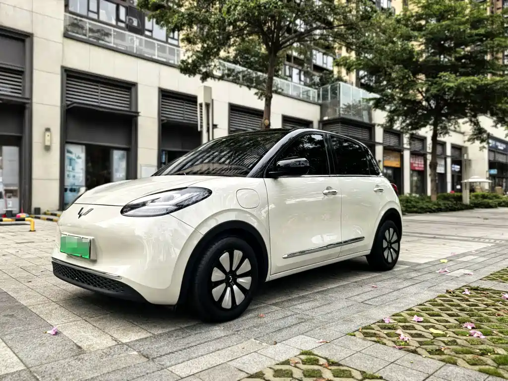 Wuling Bingo 2024