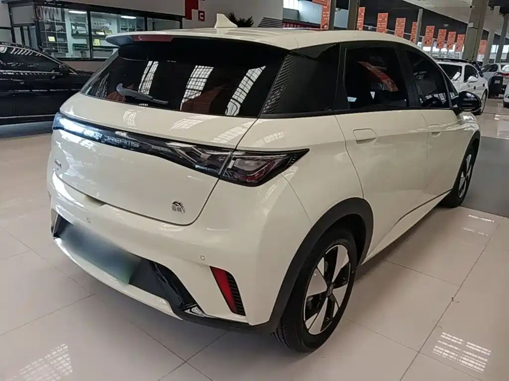 BYD Dolphin — миниатюра 7