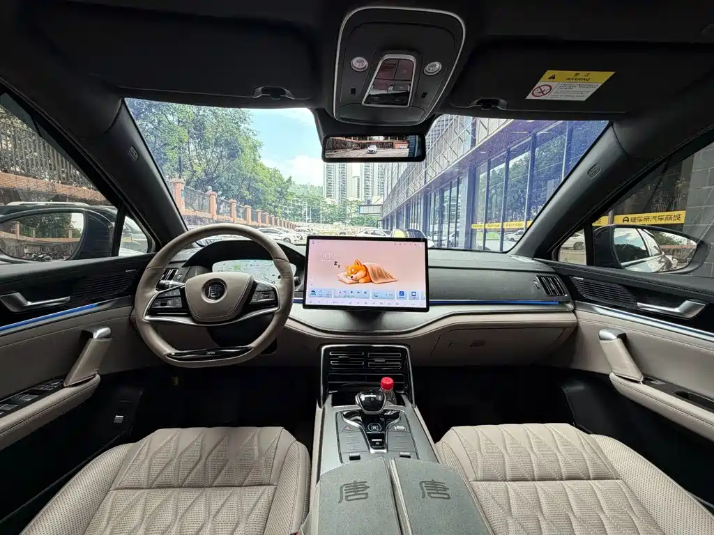 BYD Tang New Energy — миниатюра 11