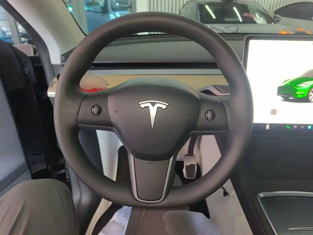 Tesla Model Y — миниатюра 11