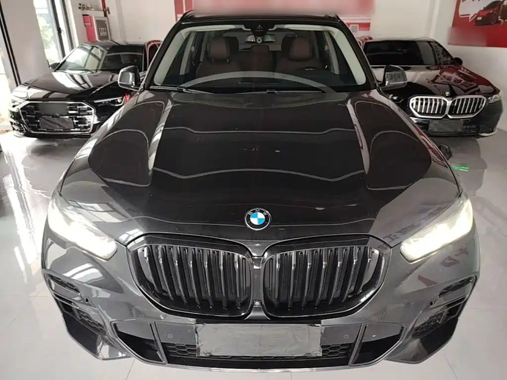 BMW X5 (Import) — миниатюра 3