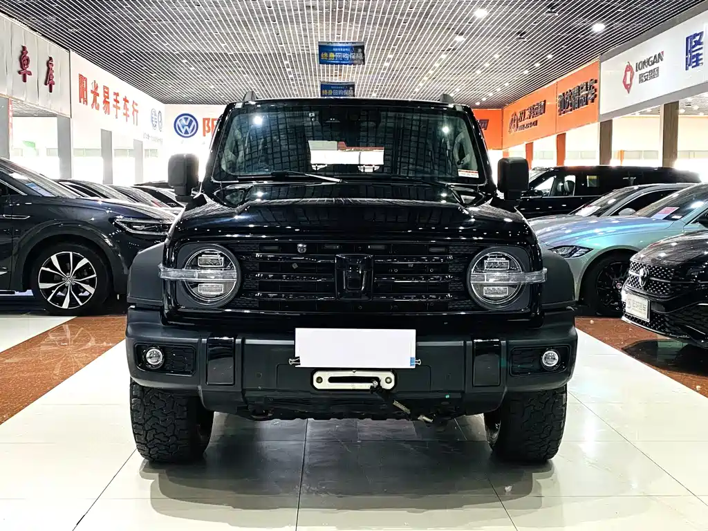 Tank 300 Offroad Edition 2.0T Conqueror, фото 2