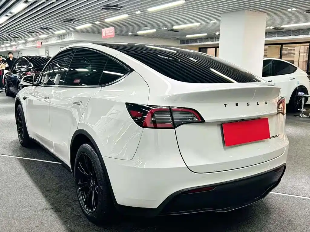 Tesla Model Y — миниатюра 9