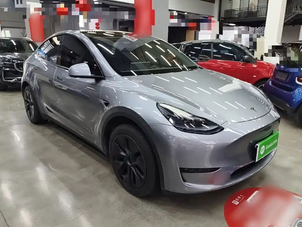 Tesla Model Y — миниатюра 4
