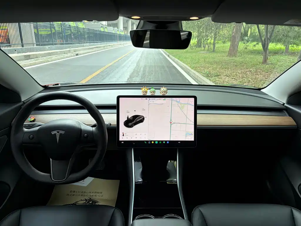 Tesla Model 3 — миниатюра 8