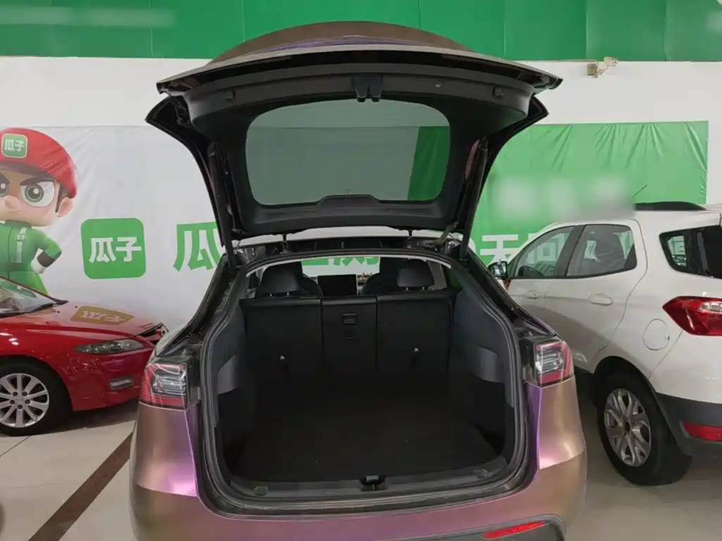 Tesla Model Y — миниатюра 19