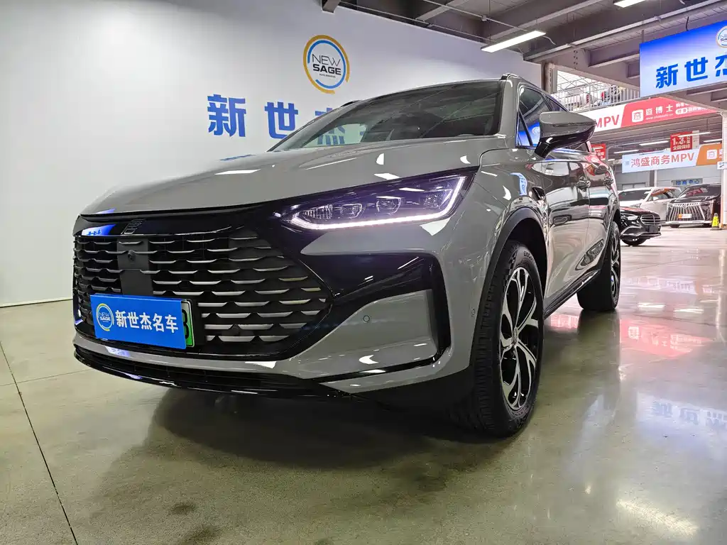 Byd Tang New Energy 2025