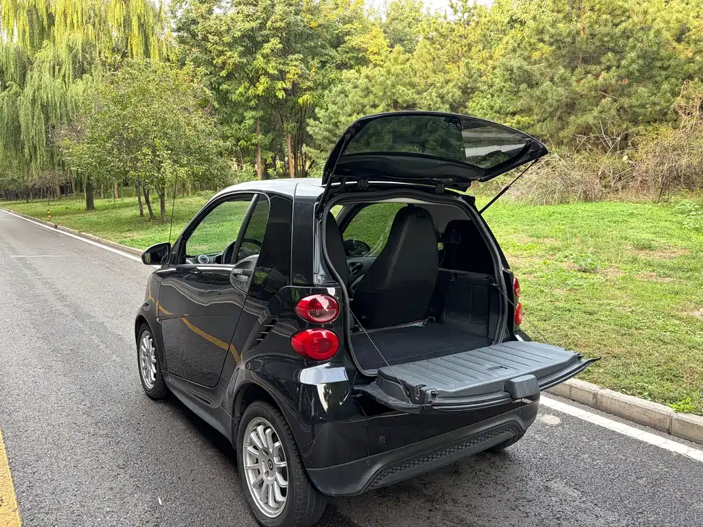 smart Smart Fortwo — миниатюра 15