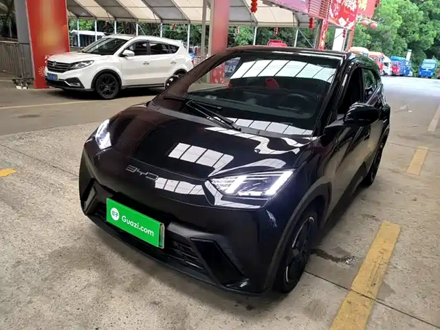 2024 BYD Seagull