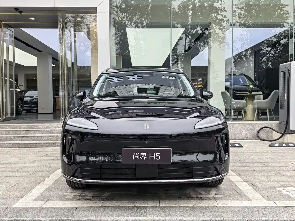 Shangjie Shangjie H5 — миниатюра 4