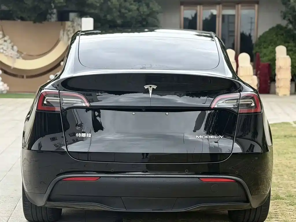Tesla Model Y — миниатюра 8