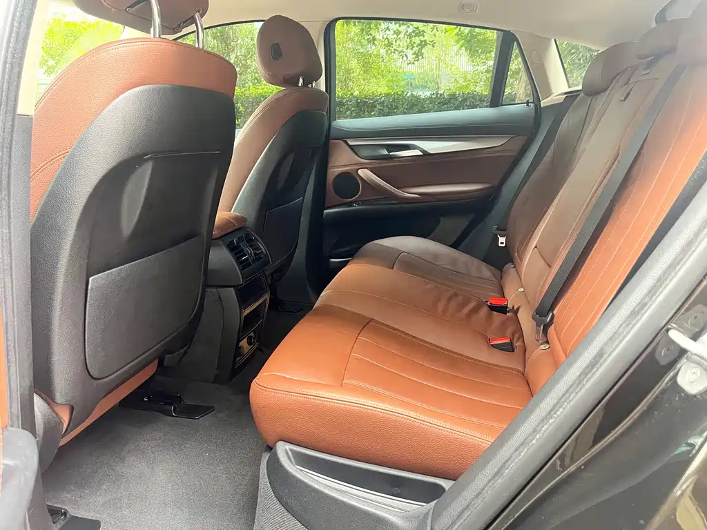 BMW X6 — миниатюра 8