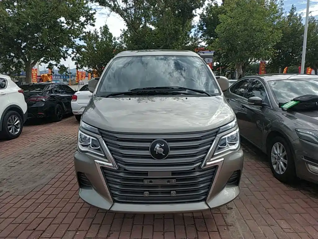 Fengxing Lingzhi — миниатюра 3