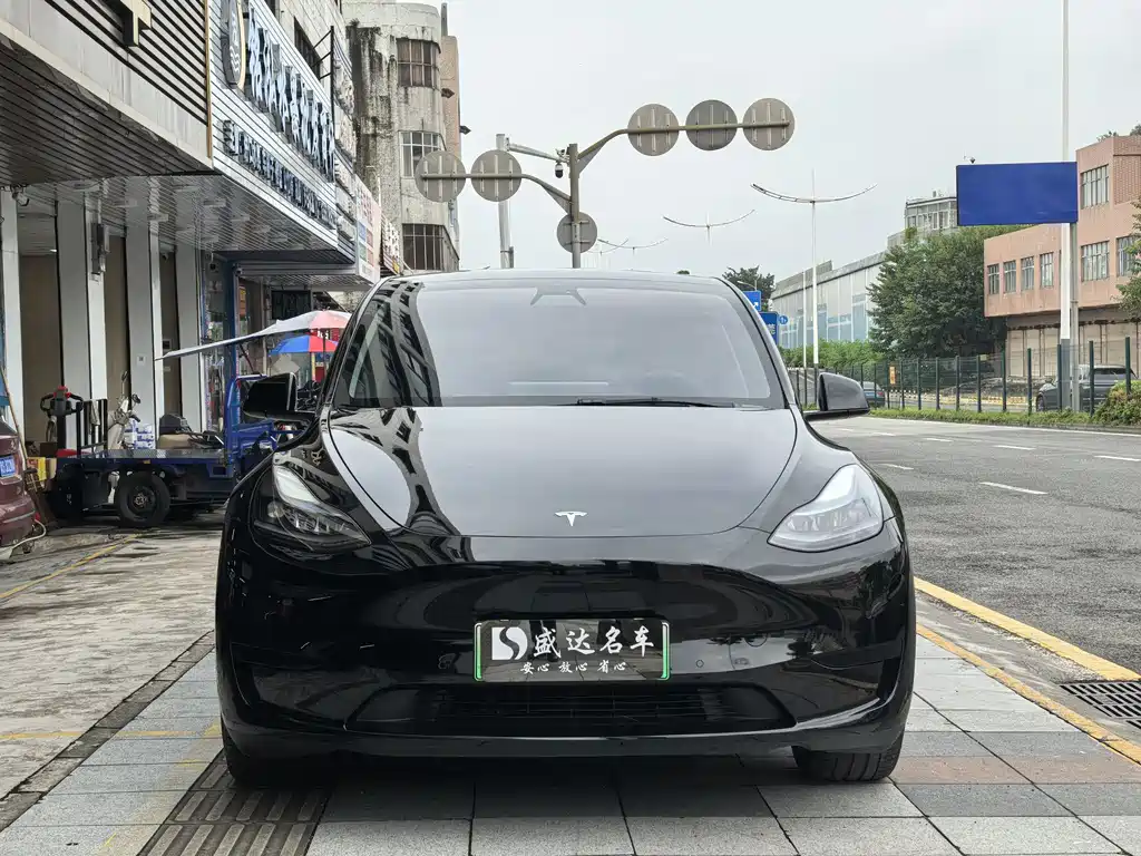 Tesla Model Y — миниатюра 2