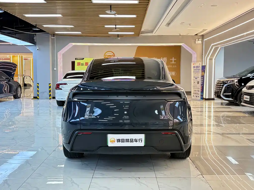 Tesla Model Y — миниатюра 4