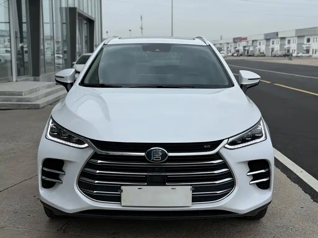 BYD Tang New Energy — миниатюра 2