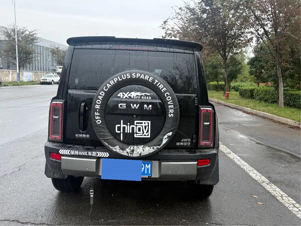Haval Menglong Petrol — миниатюра 19