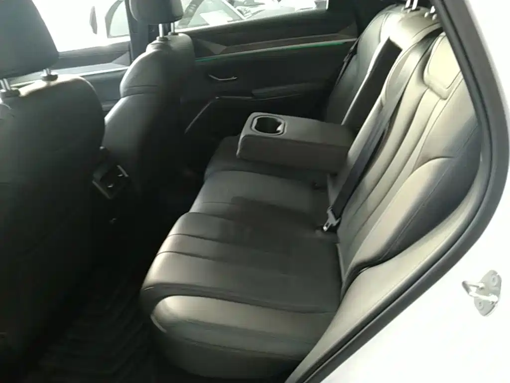 BYD Pro New Energy — миниатюра 17