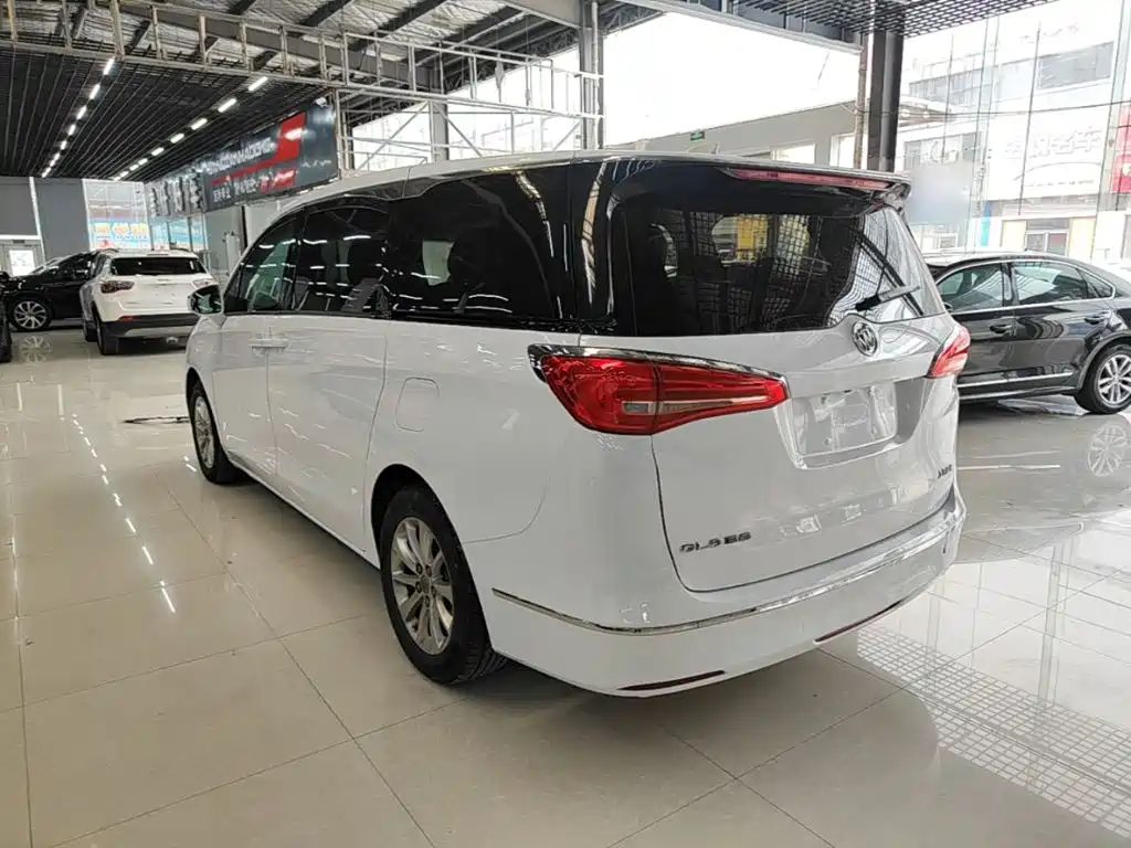 Buick GL8 — миниатюра 5