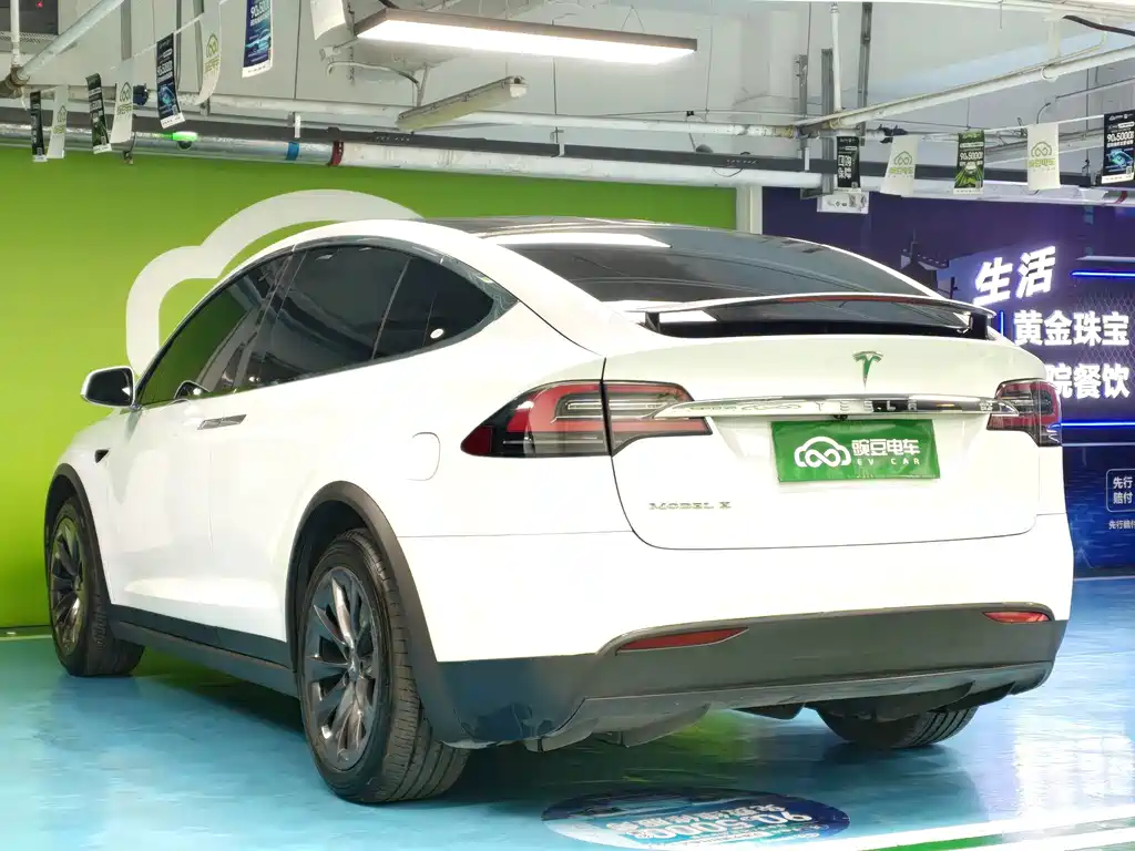 Tesla Model X — миниатюра 17