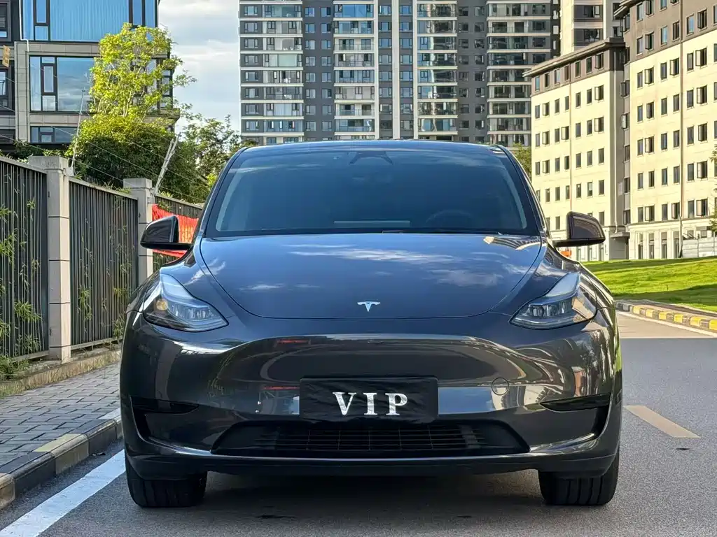 Tesla Model Y — миниатюра 3