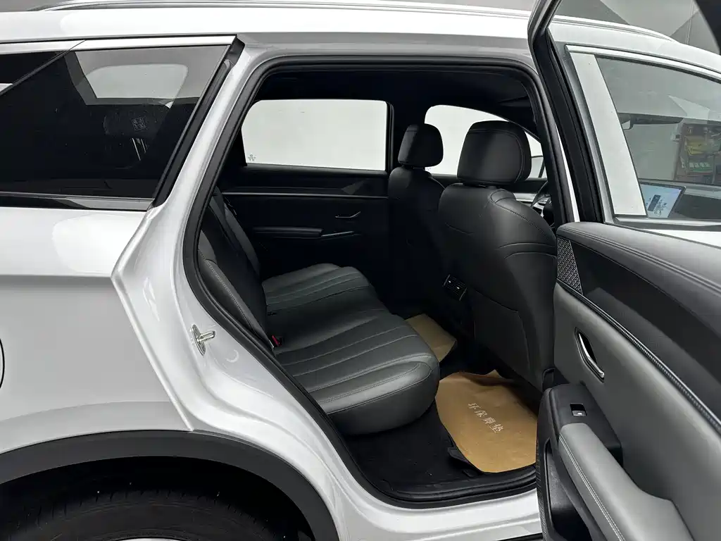BYD Pro New Energy — миниатюра 11
