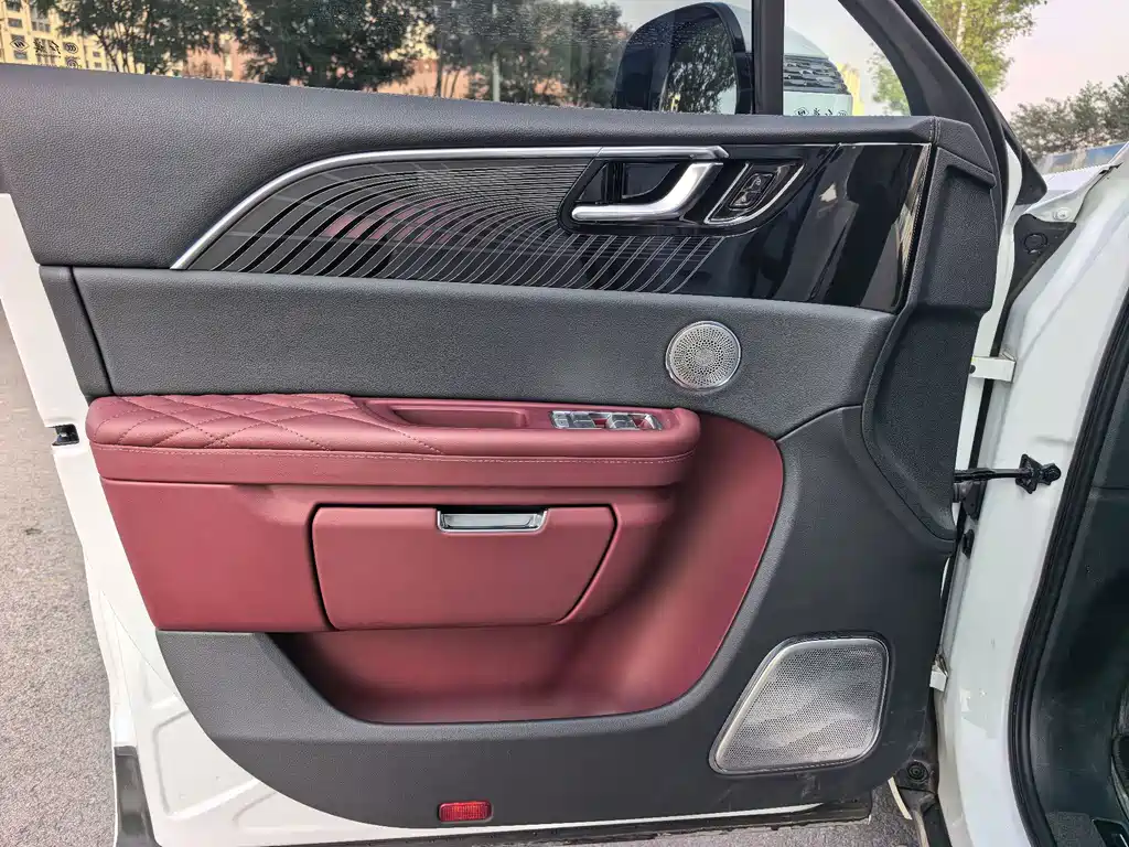 Hongqi Hongqi E-HS9 — миниатюра 15