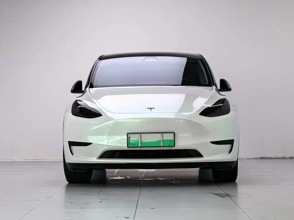 Tesla Model Y — миниатюра 2