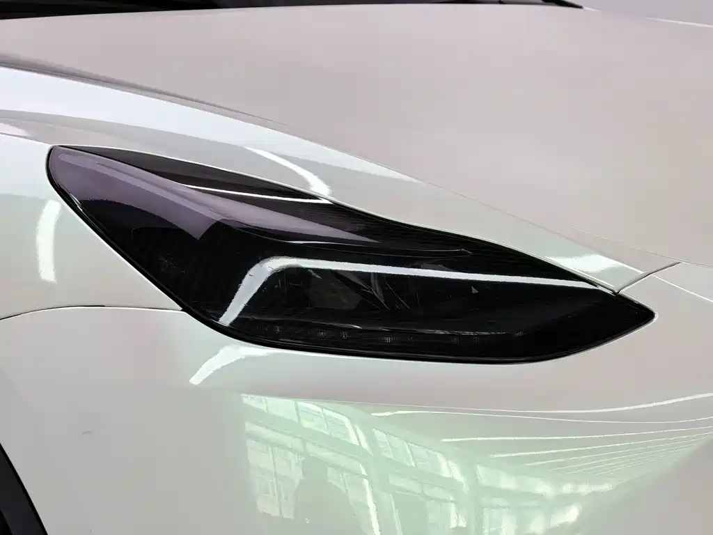 Tesla Model Y — миниатюра 24