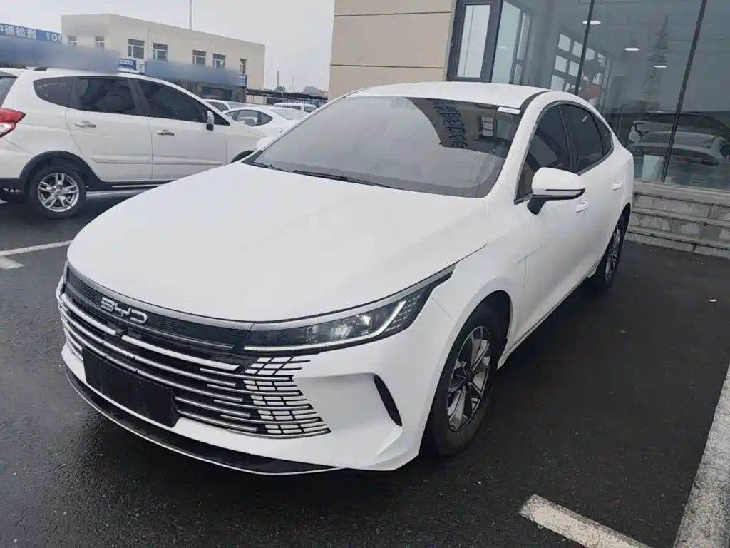 BYD Destroyer 05 2024 DM-i 55KM Luxury