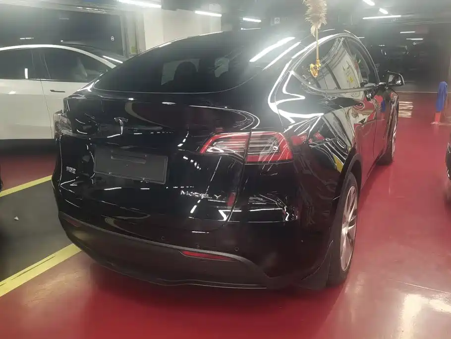 Tesla Model Y — миниатюра 3