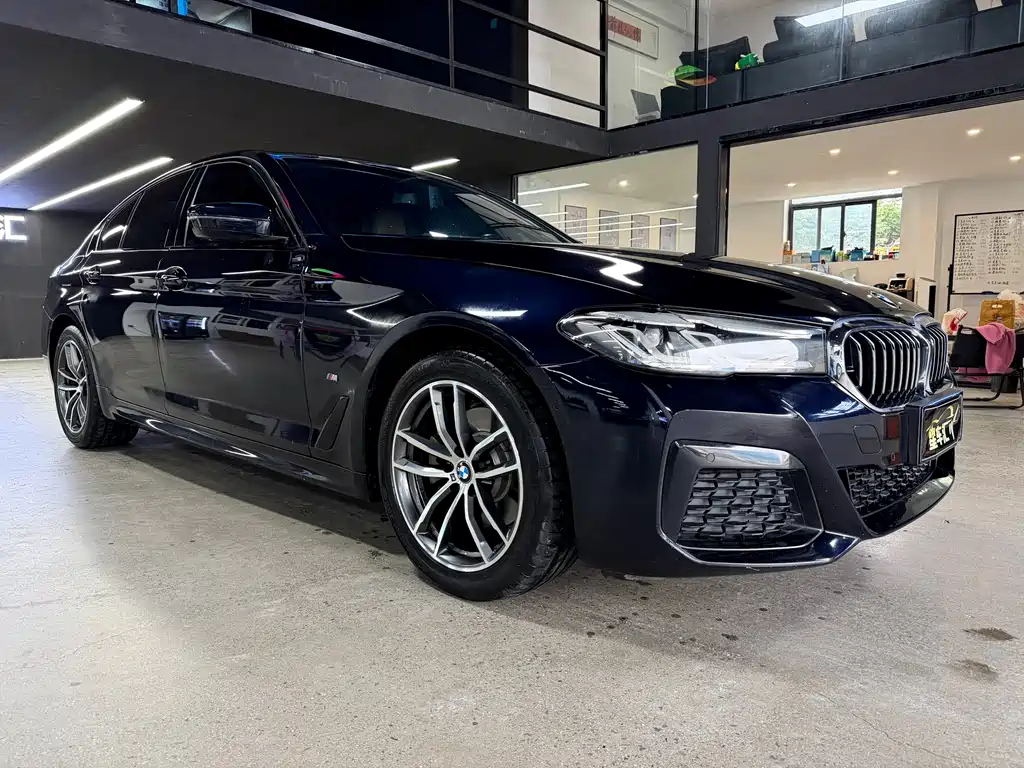 BMW 5 Series (Import) — миниатюра 3