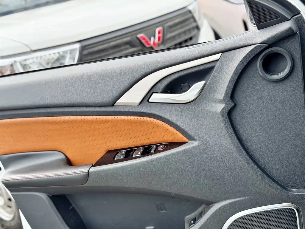 BYD Qin NEV 2016 EV300 Luxury