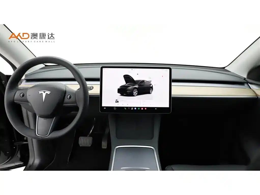 Tesla Model Y — миниатюра 5