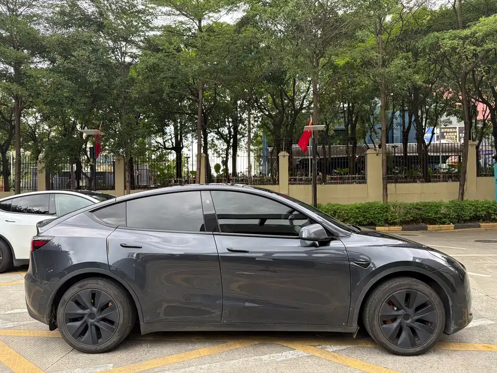 Tesla Model Y — миниатюра 4
