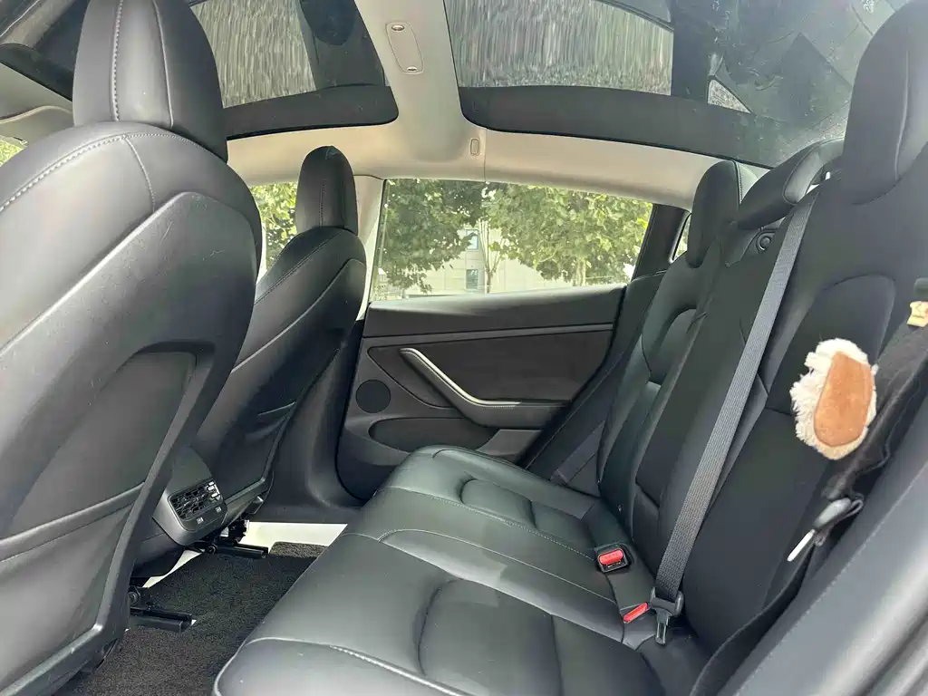 Tesla Model 3 — миниатюра 5